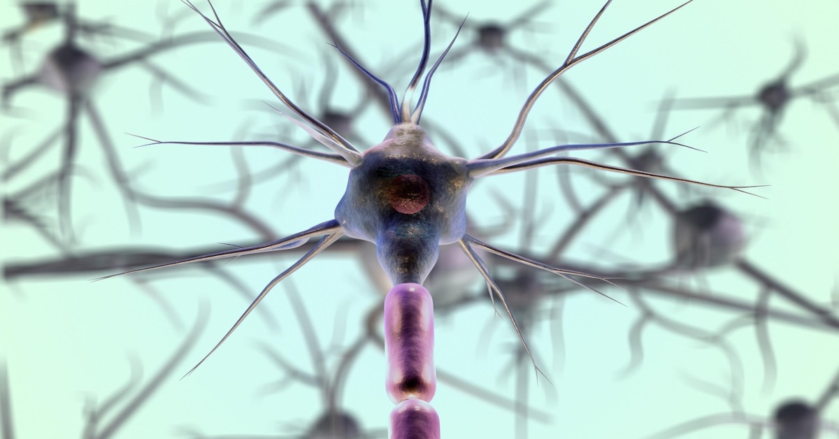 Image of a brain neuron.