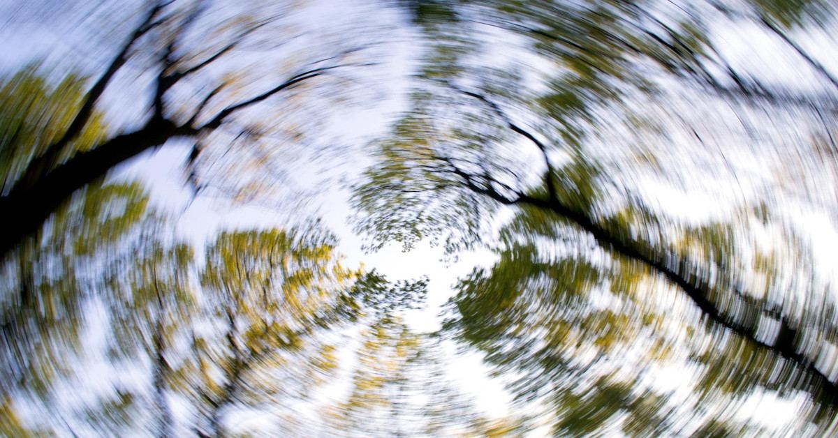 A blurry, upward view of trees and the sky, indicating that someone is feeling dizzy.