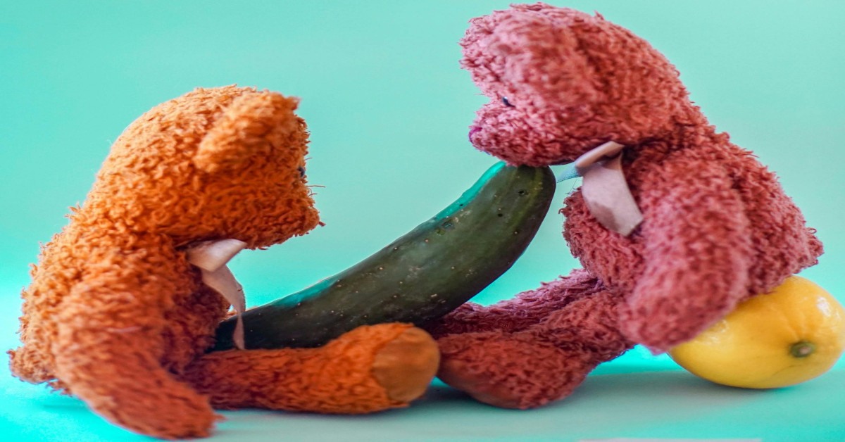 A funny sexual image between two bears.
