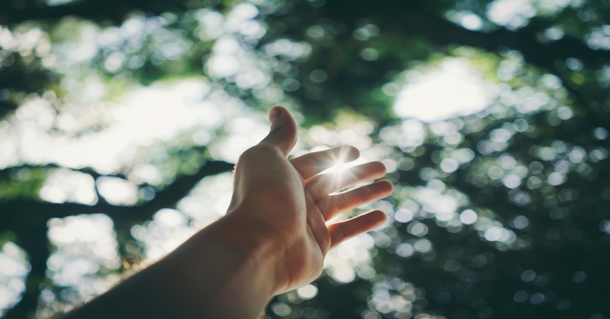 Someone's hand reaching out to the sun outside.