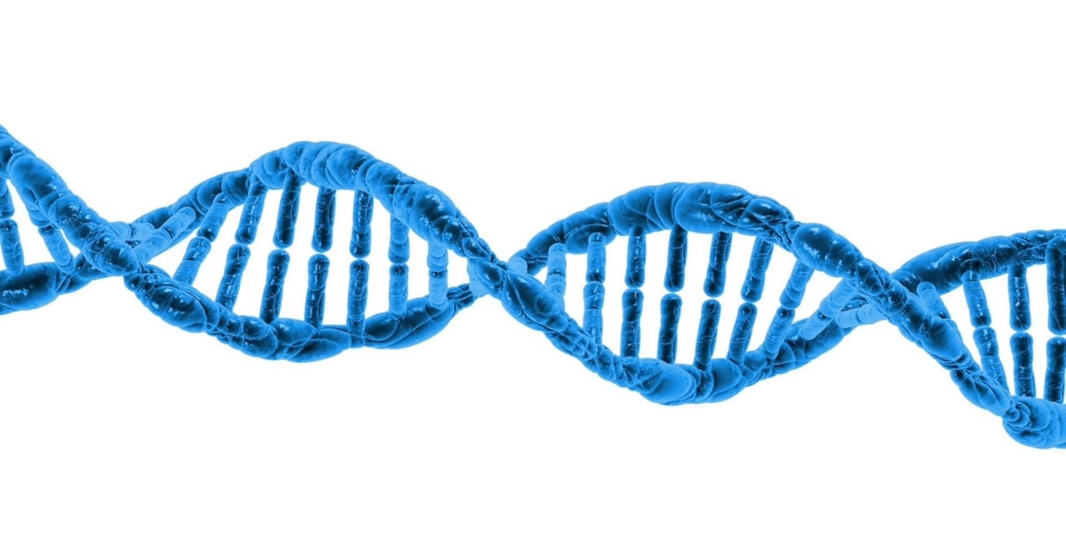 An illustration of a DNA sequence.