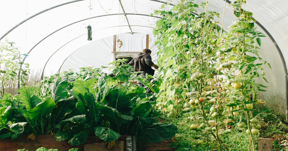 A man gardening.