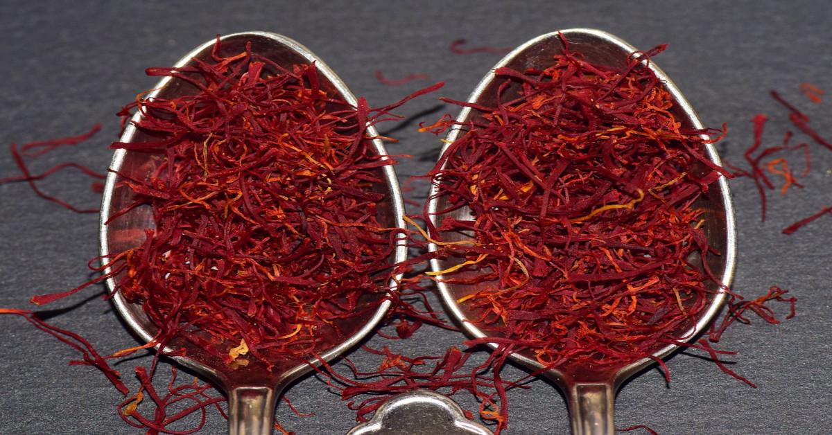 Strands of saffron in two spoons.