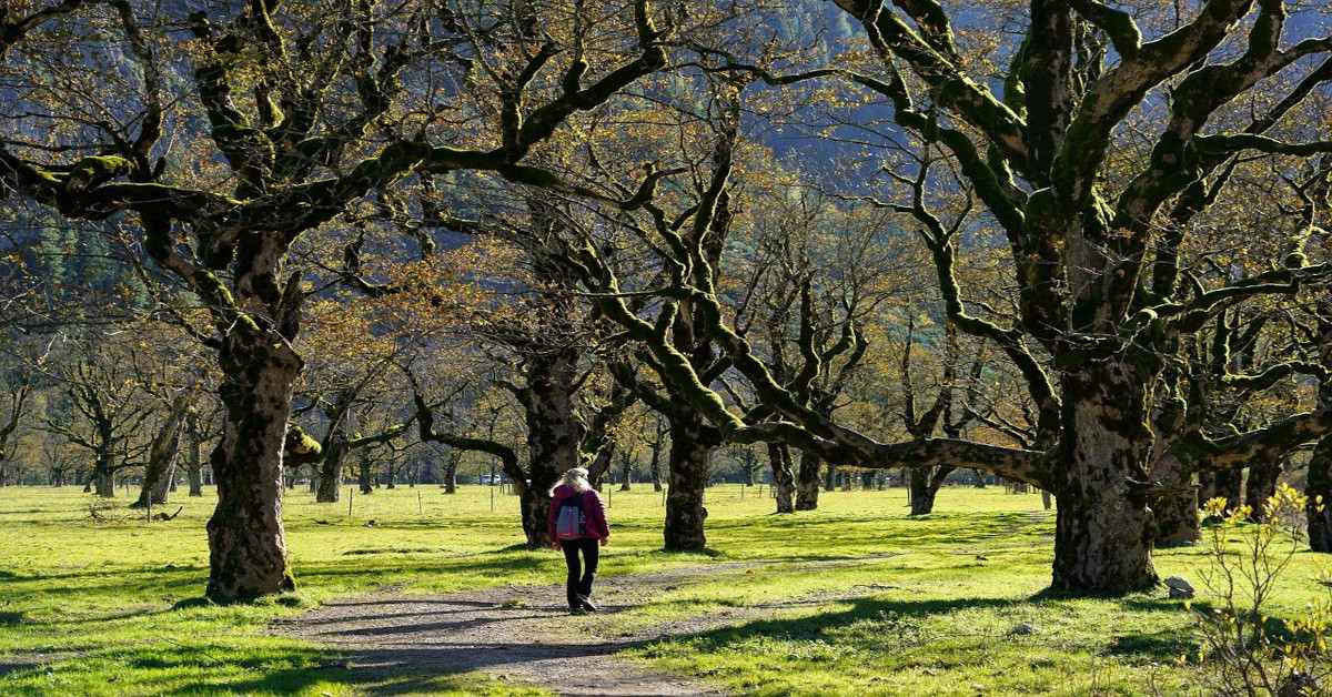 A woman walking between trees outside in nature.